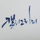 샬롬캘리