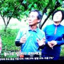 효심 농장 이미지