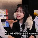 닭터