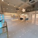 펫블리강아지&미라클고양이 이미지