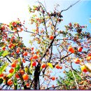 금강온천 이미지