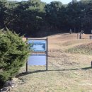 윤창세선생 묘소일원 이미지