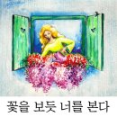 자세히 보아야 예쁘다 이미지