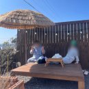 이녁 | 제주 조천 디저트 카페 이녁이랑 반려견동반 구옥카페 후기