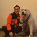 대한반려동물협회 이미지