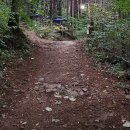 비룡로 | [놀다왔슝][남양주] 숲속캠핑장, &#39;힐링별밤수목원 캠핑장&#39;