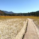 신기리 도로변 이미지