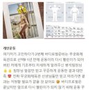 무궁화체육관 이미지