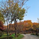 나무고아원A 이미지