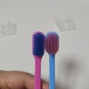 부광아트