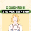 경기도 수원시 팔달구 인계동 교정치과 총정리
