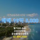 신목공인중개사사무소 | 서울시 양천구 신정동 딸기(02-848-2300단지내)공인중개사사무소 실매물 재건축 매매