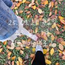 동촌성모유치원 | [블챌] 25. 09. 25 목요일 소소 일상 기록