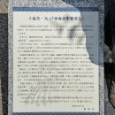 시즈오카 산책하기 좋은 곳 &lt;슨푸 성 공원&gt; 駿府城 公園