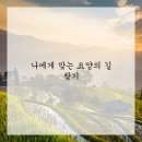 맑은마음병원