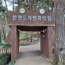 안면도자연휴양림 네이버블로그