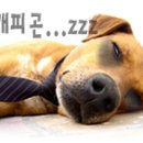 (주)제이오 이미지