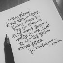 묘한인생 이미지