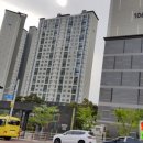 용호초등학교후문 이미지