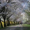 연세대학교 원주박물관 이미지