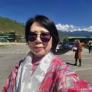 (주)새영남해외여행사 이미지