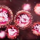 Latest News Reading 이미지