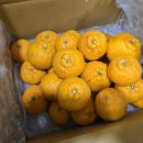 애월농장 이미지