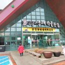 자연생태공원 자연생태박물관 | 문경 아이와 가볼만한곳 문경자연생태박물관 실내놀이터 후기