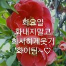 화요일 이미지