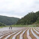 옥계경계지역 이미지