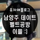 남양주 이플 : 양모 펠트공방 우리집 강아지 미니어쳐만들기