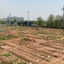 국민농장 이미지