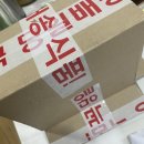 그리니크 | [구근 식물, 식물 스토어 추천] 큐가든 카라, 알리움 구매 후기 (내돈내산)