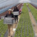 김준농장 이미지