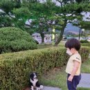 [카페.왜관.칠곡]투썸플레이스 왜관매원리점/분위기 좋고 경치좋고/아이들이 좋아하는 카페/저녁노을이쁜곳