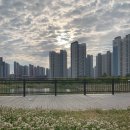 신독도참치 이미지