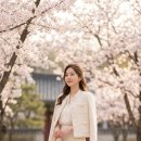 크롭체크코리아 | 봄 하객룩 20대 30대 예산별 코디 추천3만원~10만원 완벽 가이드