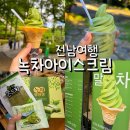 보성소프트 | 보성 녹차밭 아이스크림 비교 1957 대한다업 vs 대한다원 말차 소프트 후기