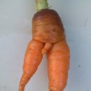 나온농장 이미지