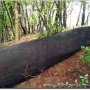 논골목장 이미지