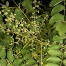 수도산쉼터 이미지