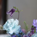 라일락그레이 | [포항 꽃집] 엄마 생신 선물로 준비한 감성 꽃바구니 – 라일락 그레이 방문 후기