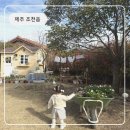 아침바다 2호점 | 제주 감성 독채 숙소 추천｜아이랑 가기 좋은 와흘 2호점 ‘노늘’ 솔직후기 (노천탕·정원·바베큐)