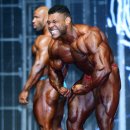 몬스터 짐 이미지