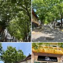 경주스테이 동주 이미지