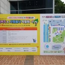 청안원예협동조합 | 제 13회 울산광역시 북구 사회복지 및 자원봉사 박람회 관람후기 (울산 북구청)