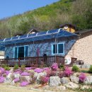 김삿갓면-31 이미지