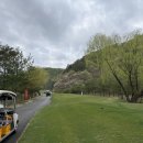 [충주 골프장] 센테리움CC 코스 후기⛳ 스코틀랜드 코스, 페어웨이는 베드, 뷰는 굿!(2025년 04월 19일)