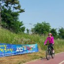 어등대교(거점터미널) 이미지