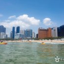 해운대로 570번길 이미지